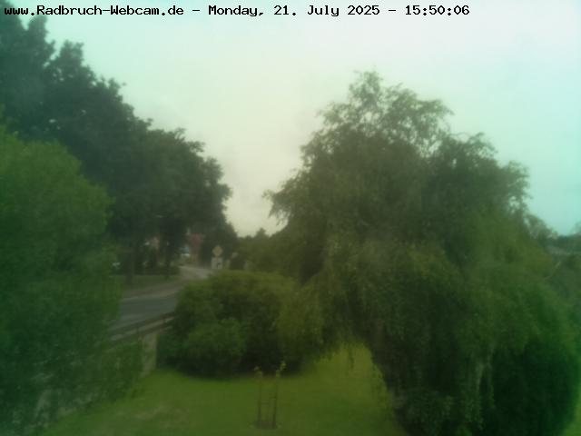 Webcambild
