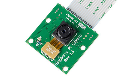 Raspberry Pi Camera Module